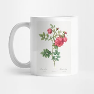 Turnip Roses, Rosa rapa from Les Roses (1817–1824) by Pierre-Joseph Redouté Mug